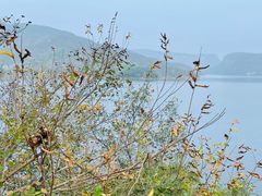 -白河堡水库