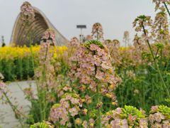 -中国天府农业博览园