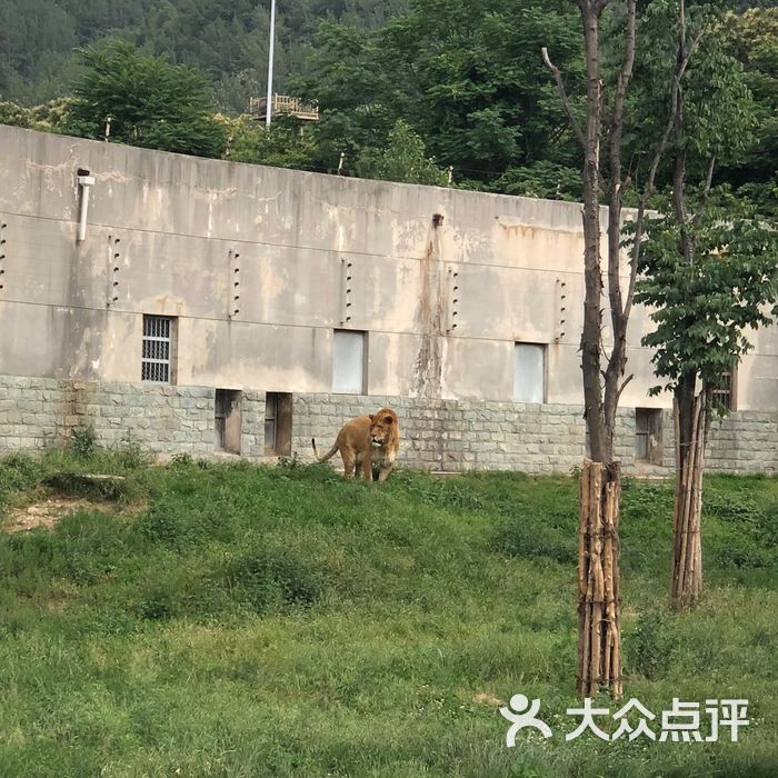 西安秦嶺野生動物園