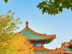 -龙口南山旅游景区