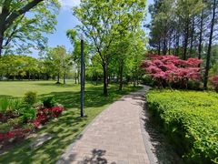 -中国浦东干部学院