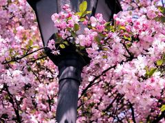 -成都中医药大学(温江校区)