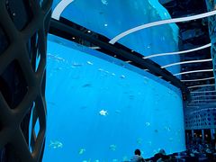 -瑞德姆美人鱼海底演艺主题餐厅(亚龙湾店)