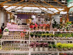 -KKV(深圳宏发大仟里店)