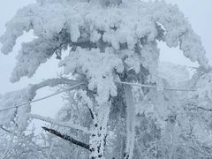 -湖州龙王山景区
