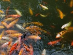 -陈云纪念馆