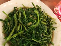-越海渔村