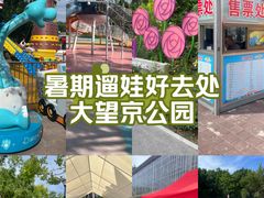 -大望京公园