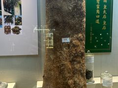 -广东中医药博物馆