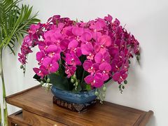 -沪昕金让六尺饭店·粤菜·海鲜·融合菜(四季青店)