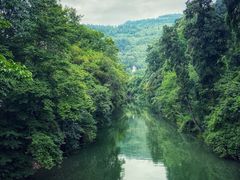 -金谷域澳洲庄园