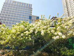 -郑和公园