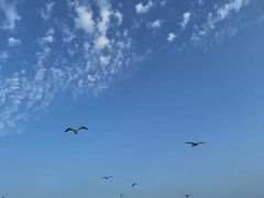 -星海湾跨海大桥