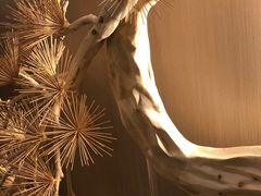 -得闲·高空SPA(东盟店)