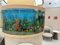 -慈铭体检(洋桥分院)