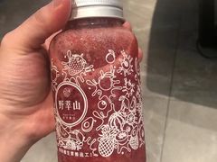 -野萃山·潮汕厚果汁(十亩地店)