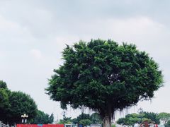 -石炮台公园