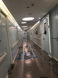 -杭州贝瑞斯美华妇儿医院·早孕·产检·儿科