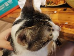 -2048香辣虾(七星岗店)