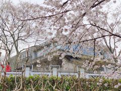 -嘉定紫藤园