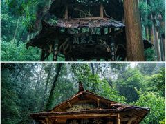 -青城山