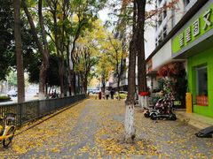 -顺香居·老字号湖北菜(江汉路店)