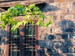 -安庆柴火馄饨(马道街店)