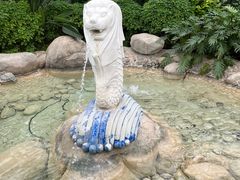 -南宫五洲植物乐园