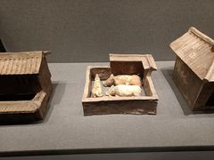 -广西壮族自治区博物馆