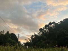 -酒仙湖景区