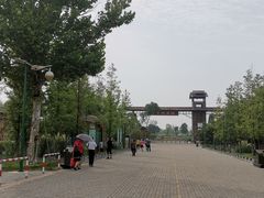 -泗洪洪泽湖湿地景区