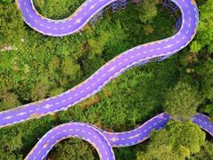 -芦仙山景区-飞越丛林探险乐园