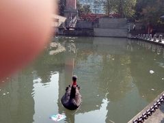 android_upload_pic-徐家汇源景区-衡山公园
