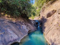 -广州白江湖森林公园