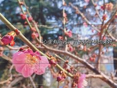 -西北湖绿化广场