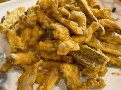 -鲤鱼塘农家山庄