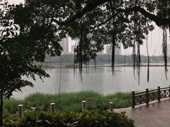 -南宁南湖公园