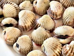 血蛤-华盛丰温州大排档(东三环南路店)