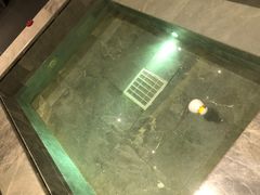 -大连金石滩绿发温泉假日酒店