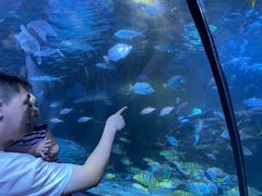 -太平洋海底世界博览馆·展览厅