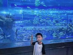 -石家庄极地海洋世界