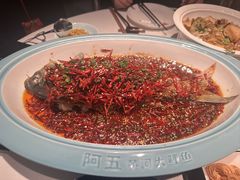 -阿五黄河大鲤鱼(英协路店)