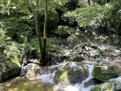 -牛背梁国家森林公园