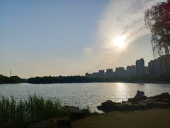 -南翔镇银翔湖公园
