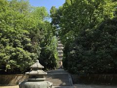 -灵谷景区