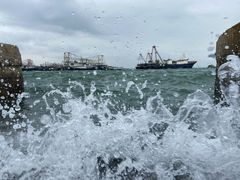 -龙泉人椰子鸡.糟粕醋.海南菜(三亚旗舰店)