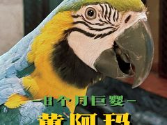-潮府馆·非遗潮州菜·世纪公园(新国际博览中心店)
