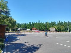 -东平国家森林公园