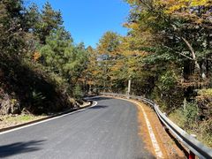 -四明山国家森林公园