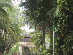 -呀诺达热带雨林